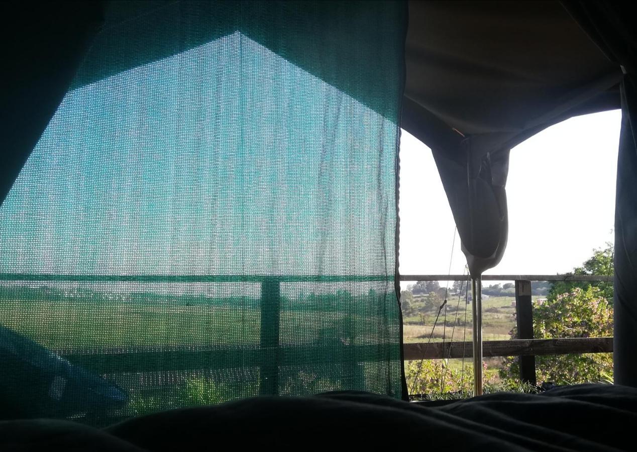 Chosen Glamping Tents Graskop Exterior photo